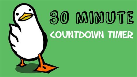 30 minute timer duck.